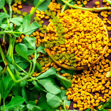 Fenugreek & Thyme NSP NSP, modèle 885 | N° d'image 1