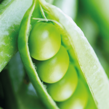 SmartMeal 2-pak SmartMeal 2-pak NSP, modèle 65010 | N° d'image 1