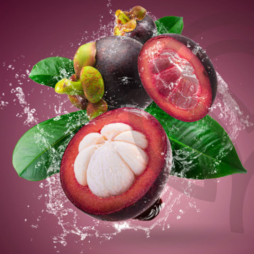 Zambroza NSP NSP, modèle 4104 | N° d'image 2