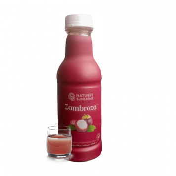 Zambroza NSP NSP, modèle 4104 | N° d'image 1