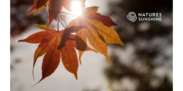 Amélioration du métabolisme en automne : quels sont les suppléments qui vous aideront à accélérer votre métabolisme ? Amélioration du métabolisme en automne : quels sont les suppléments qui vous aideront à accélérer votre métabolisme ?
