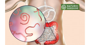 Comment vaincre les parasites et la candidose de manière sûre et naturelle : le programme NSP