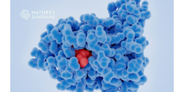 Une approche nutritionnelle de la guérison du cancer : comment soutenir l'organisme avec les PSN Une approche nutritionnelle de la guérison du cancer : comment soutenir l'organisme avec les PSN