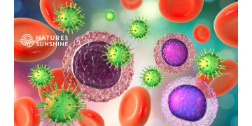 Comment renforcer l'immunité en été : solutions naturelles du PSN Comment renforcer l'immunité en été : solutions naturelles du PSN
