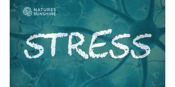 Stress et système nerveux : comment aider l'organisme à s'adapter et à récupérer Stress et système nerveux : comment aider l'organisme à s'adapter et à récupérer
