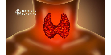 Thyroïde et santé de la peau : ce que les femmes doivent savoir Thyroïde et santé de la peau : ce que les femmes doivent savoir
