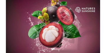 Le bouclier violet : comment Zambroza renforce la santé vasculaire et ralentit le vieillissement Le bouclier violet : comment Zambroza renforce la santé vasculaire et ralentit le vieillissement