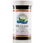 Mullein